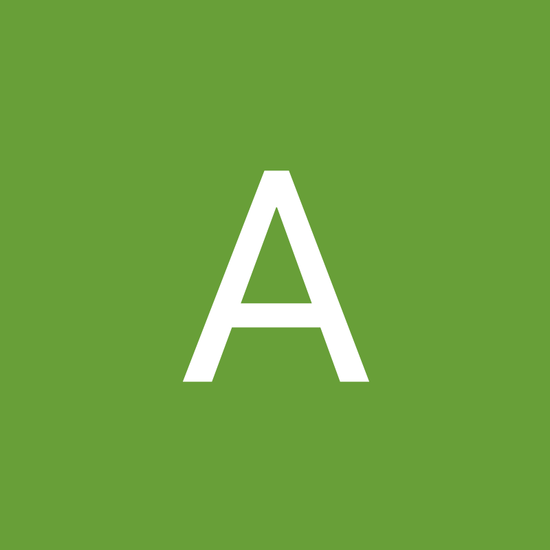 Photo of Amine A