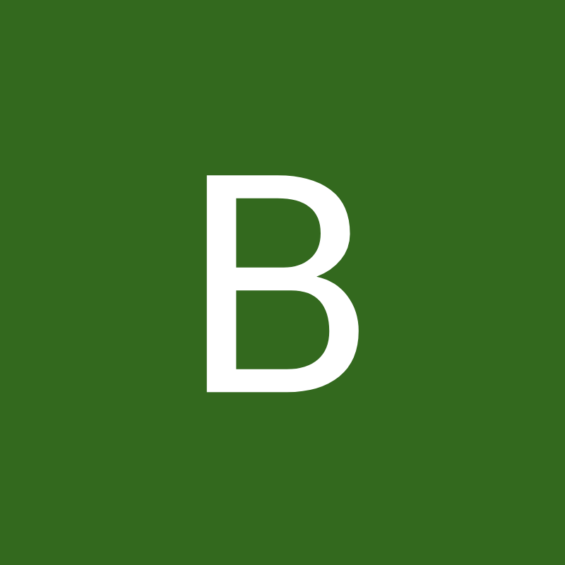 Photo of Ben Brascia