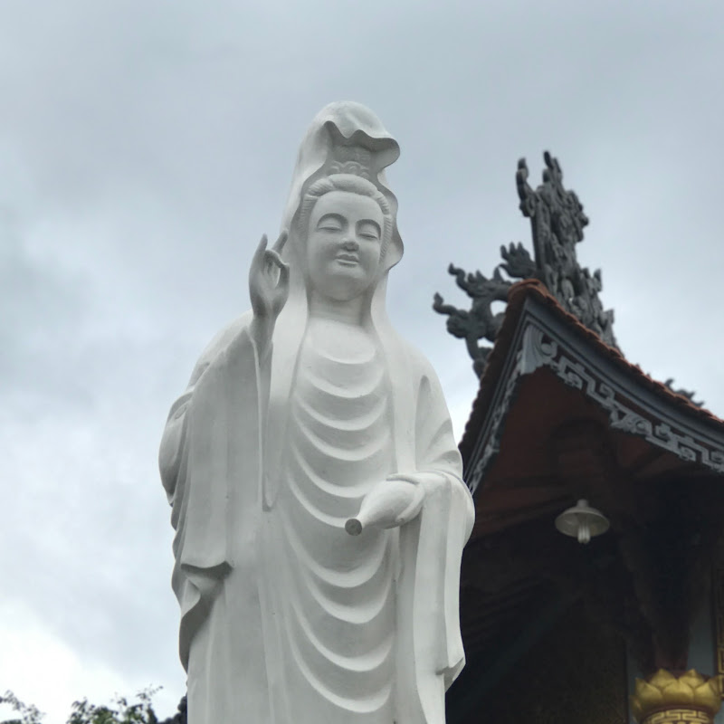 Photo of Dao Tran
