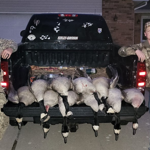 Photo of Casey Anderson