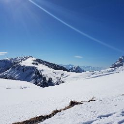 Photo of Romain